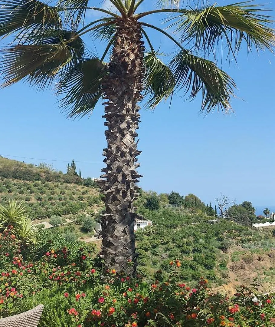 Bed & Breakfast Finca Sol Y Cielo Cajis